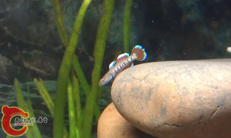 imag1082_副本.jpg