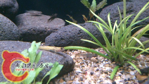 DSC_1021_编辑.jpg