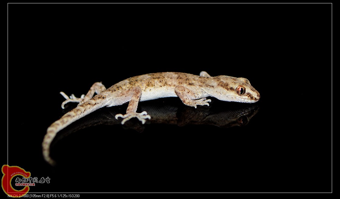 DSC_9829.jpg