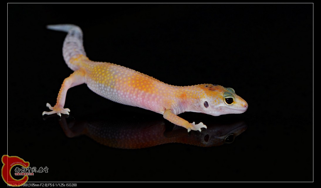 DSC_9841.jpg