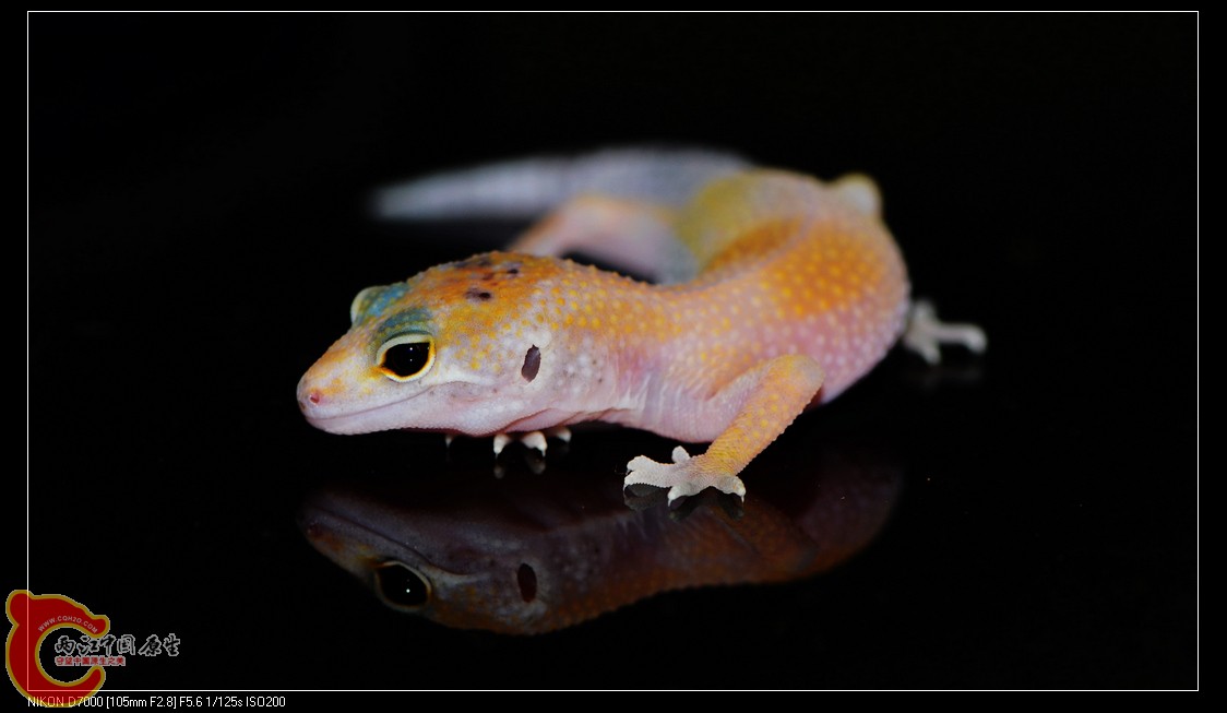 DSC_9843.jpg