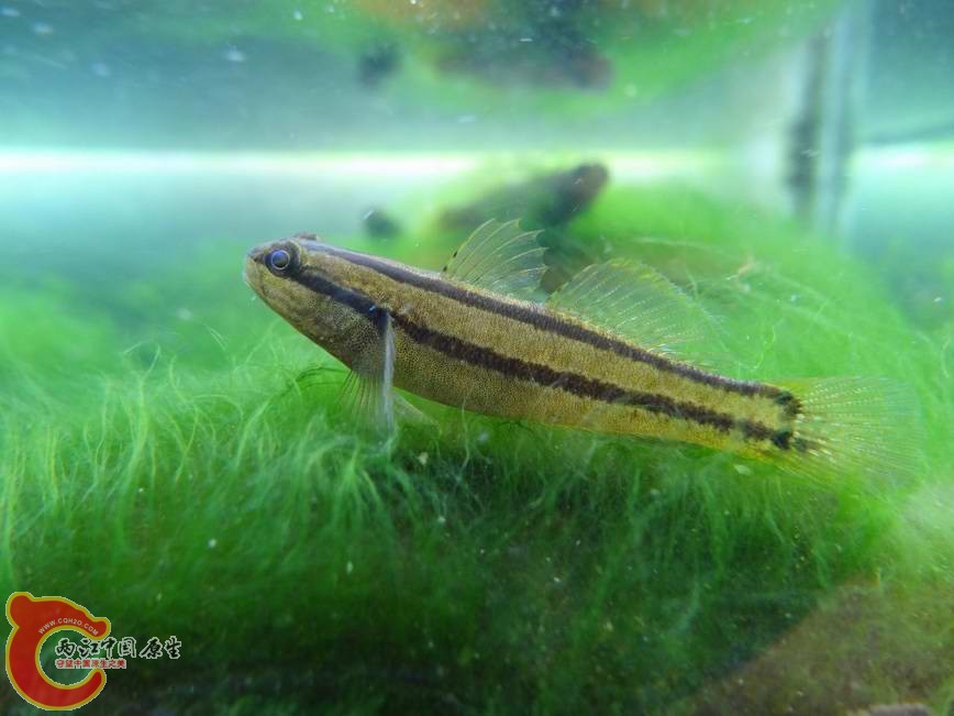 1 (3).JPG