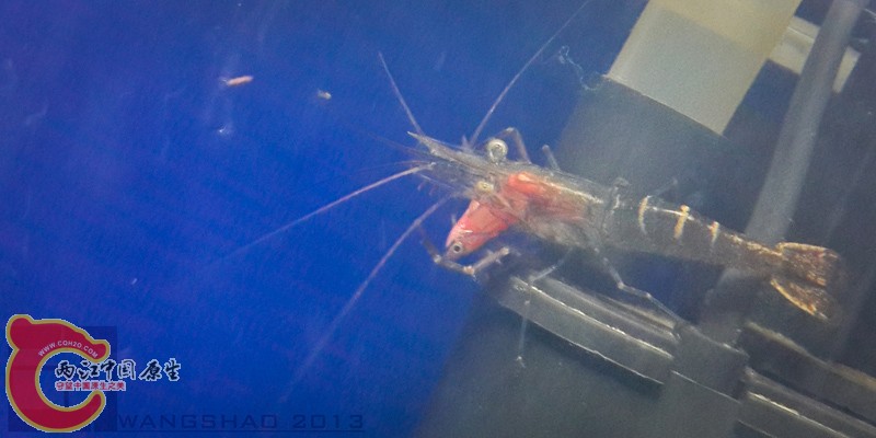 20130926_194939wsxt.jpg