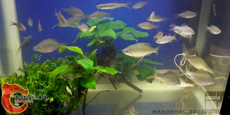 20130929_203057wsxt.jpg