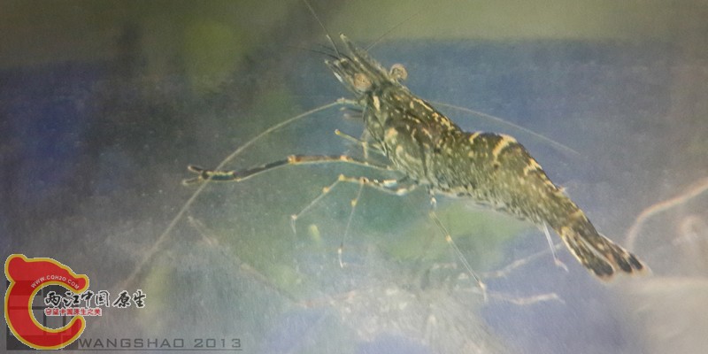 20130929_204440wsxt.jpg