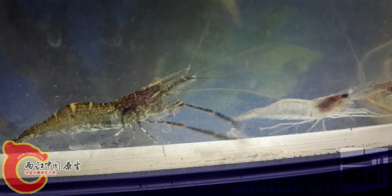 20130929_212934wsxt.jpg