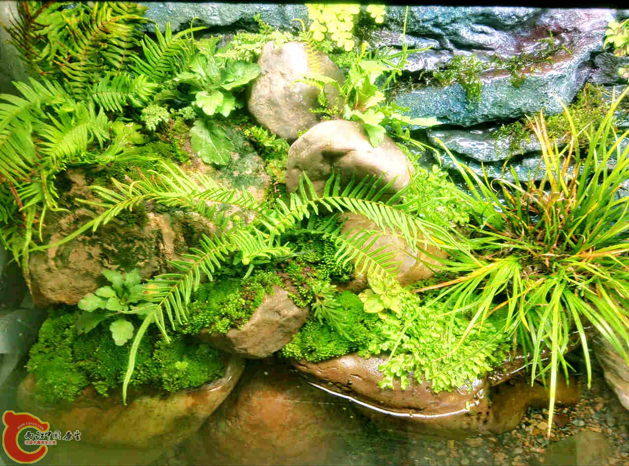 IMG20131021205400037_副本.jpg