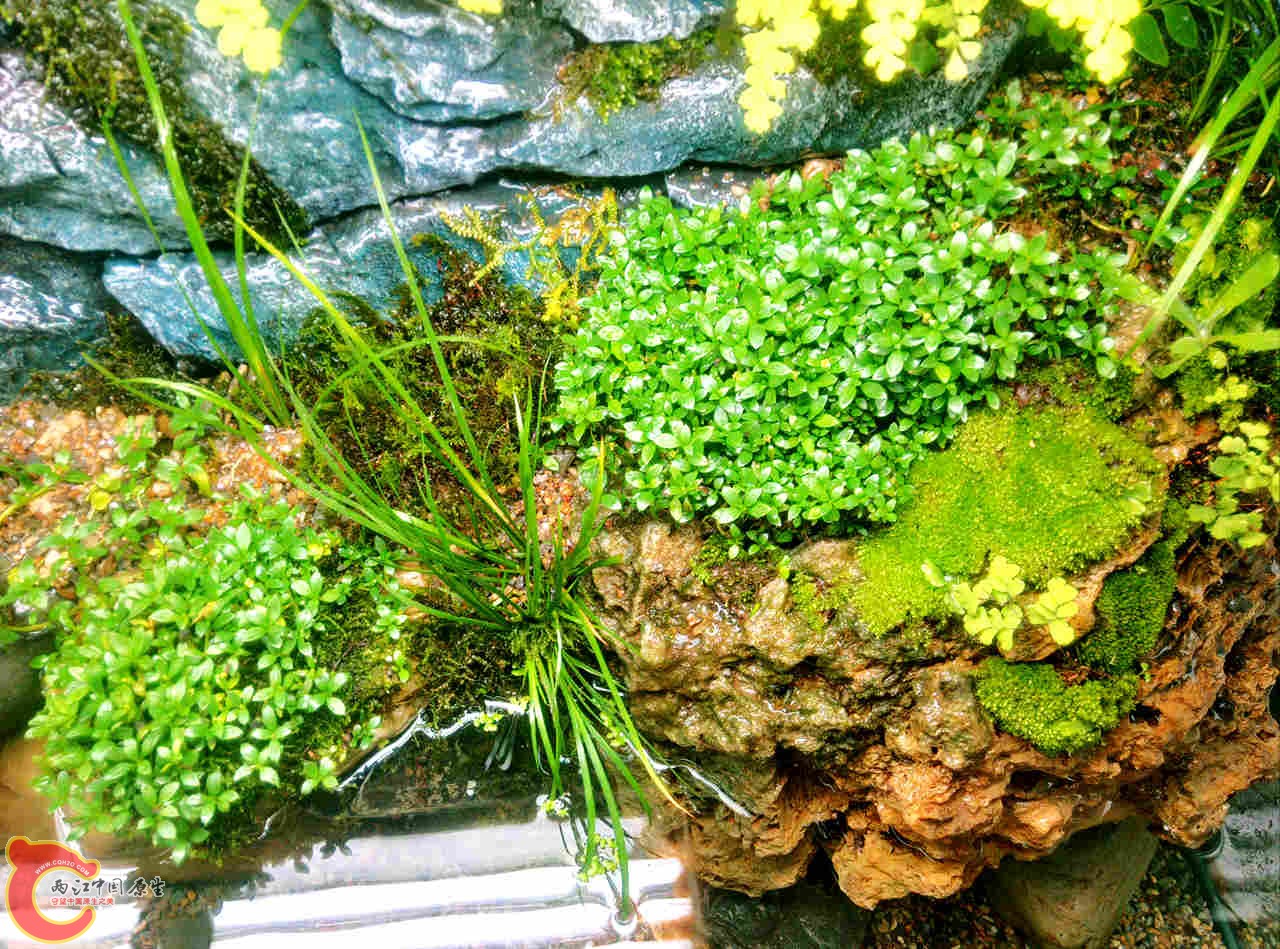 IMG20131021205434124_副本.jpg
