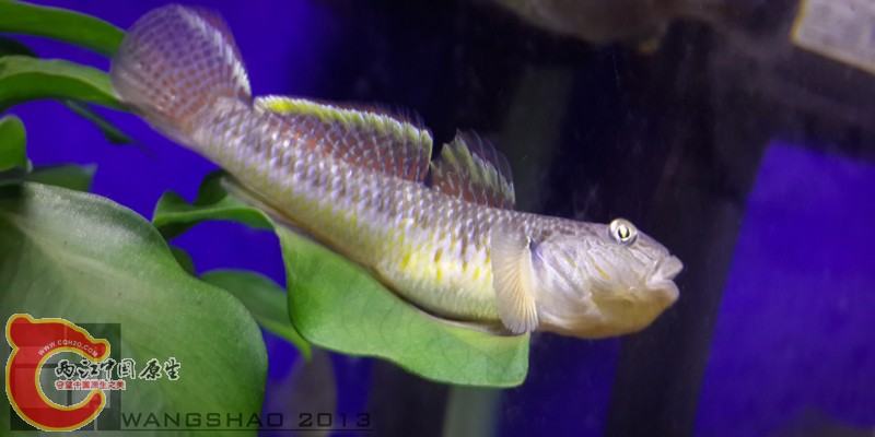 20131011_205454wsxt.jpg