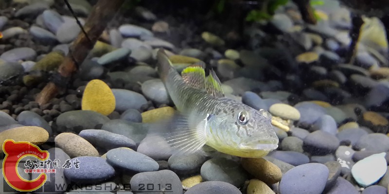 20131011_213758wsxt.jpg