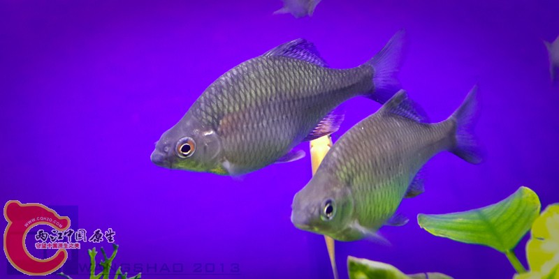 20131019_175146wsxt.jpg
