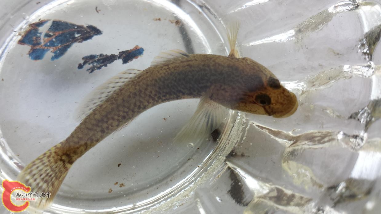 20131025_164105.jpg
