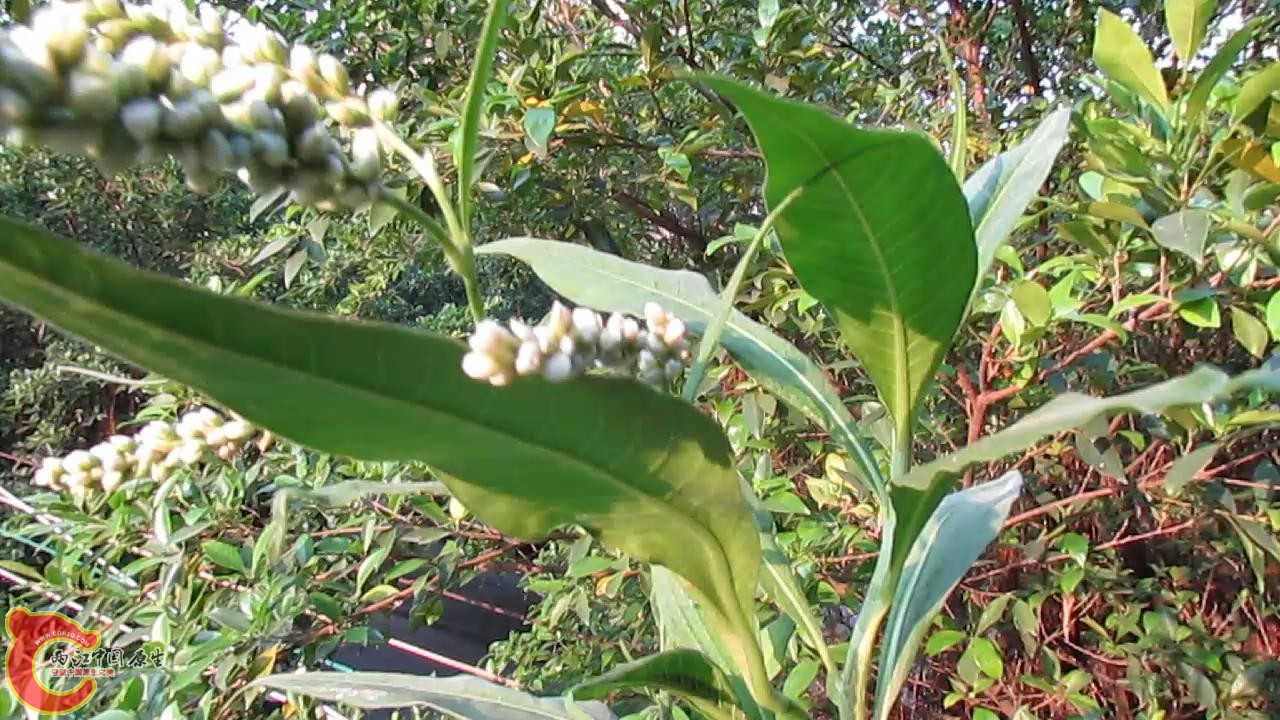 照片 521_2013102518140.JPG