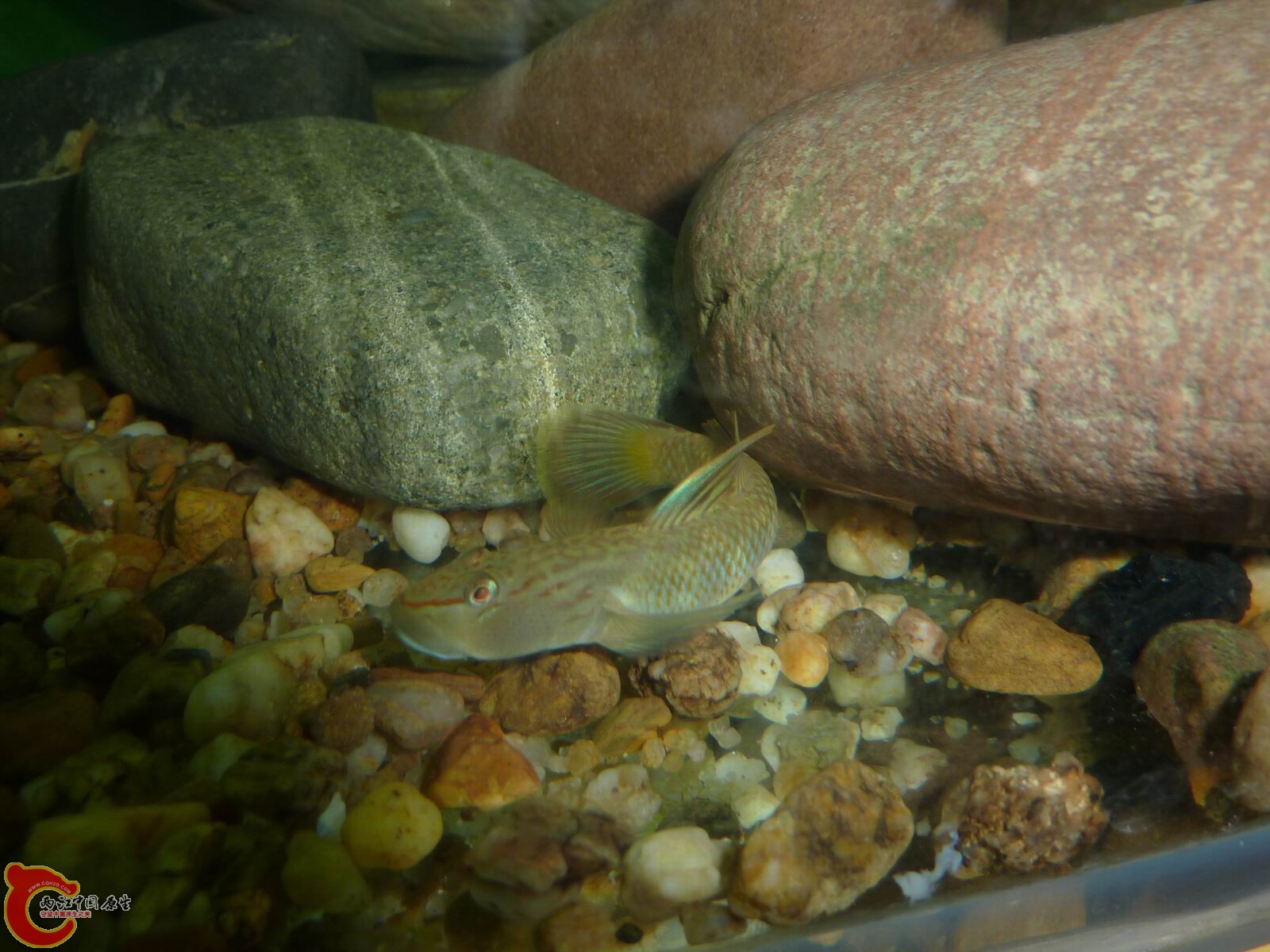 P1050105-.jpg