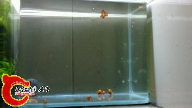 IMG_20131028_210906.jpg