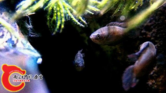 IMG_20131029_212514.jpg