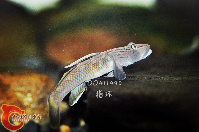 DSC_0003.jpg
