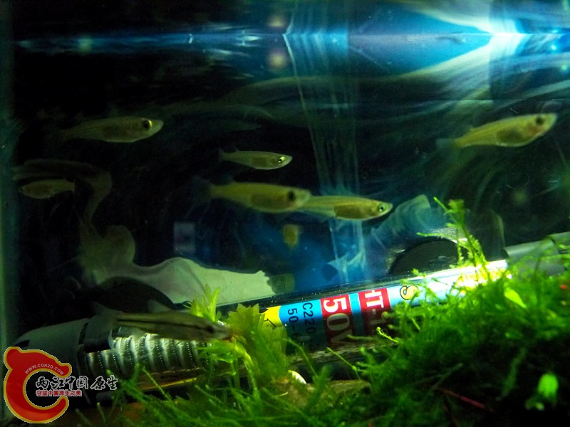 100_8776_副本.jpg