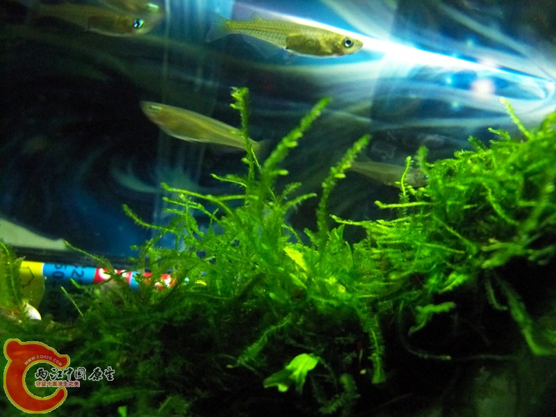 100_8782_副本.jpg