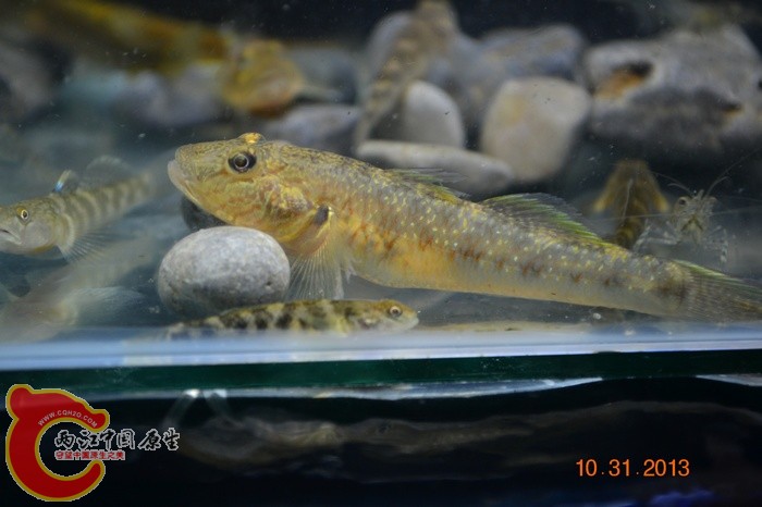 nEO_IMG_DSC_0737.jpg