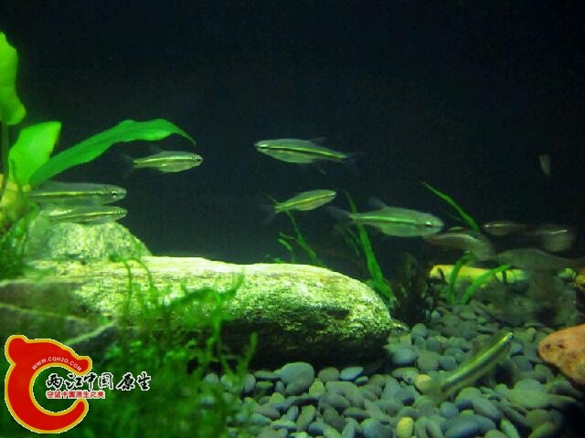 IMG_6549_鍓?湰.jpg