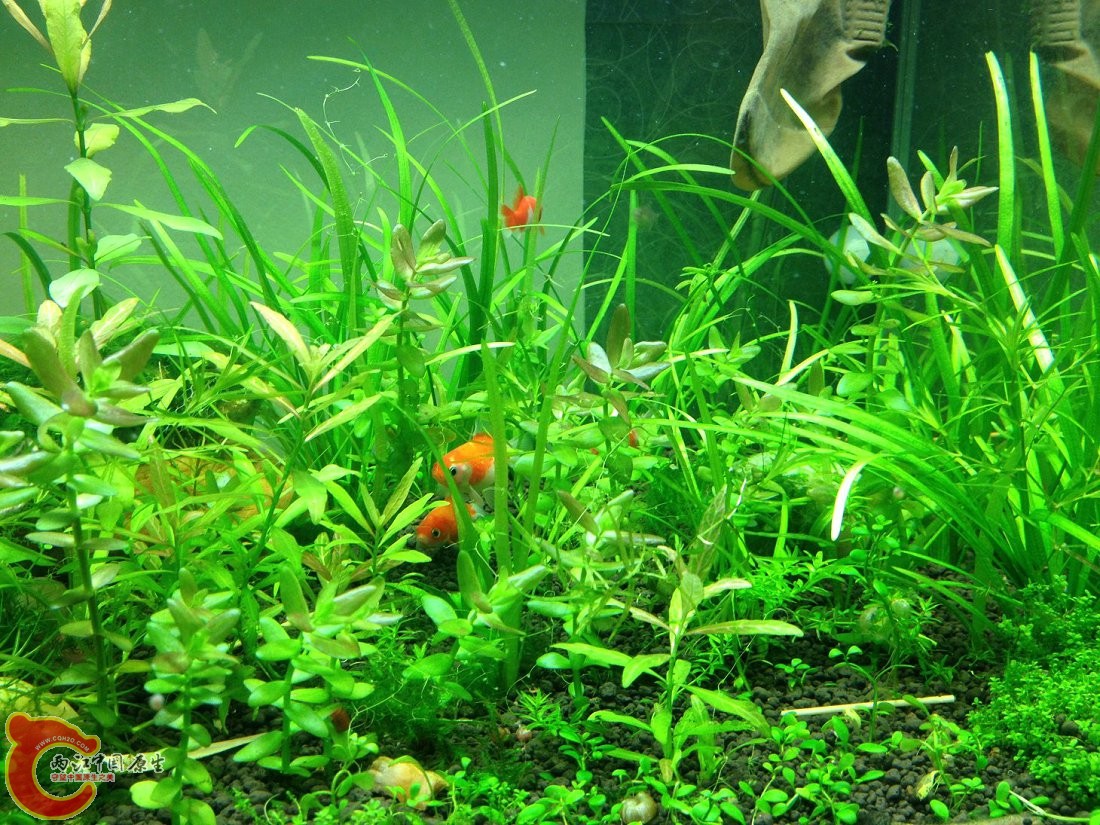 20131103-4485.JPG