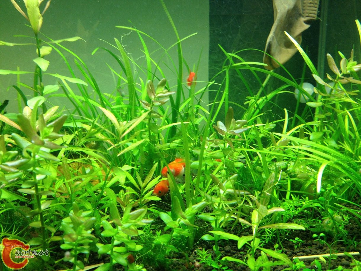 20131103-4486.JPG
