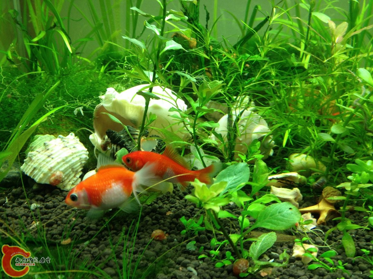 20131103-4494.JPG