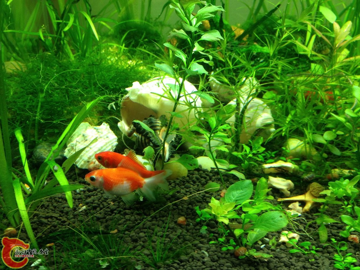 20131103-4495.JPG