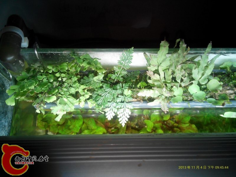 2013_11_04__21_45_43.jpg