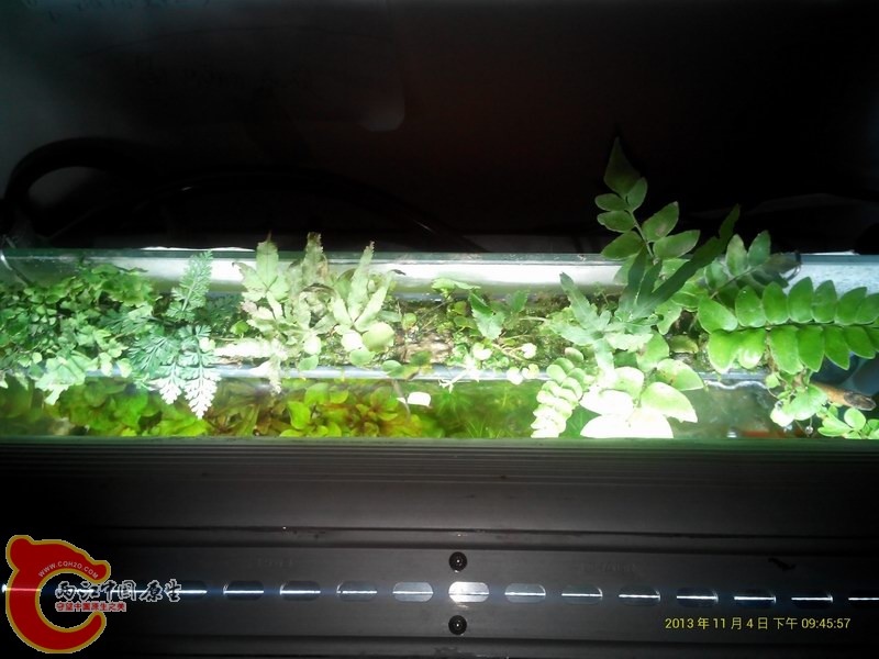 2013_11_04__21_45_56.jpg