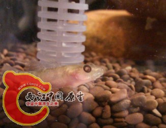 PH7_V9K1B~5F723(Y2M3EKX.jpg