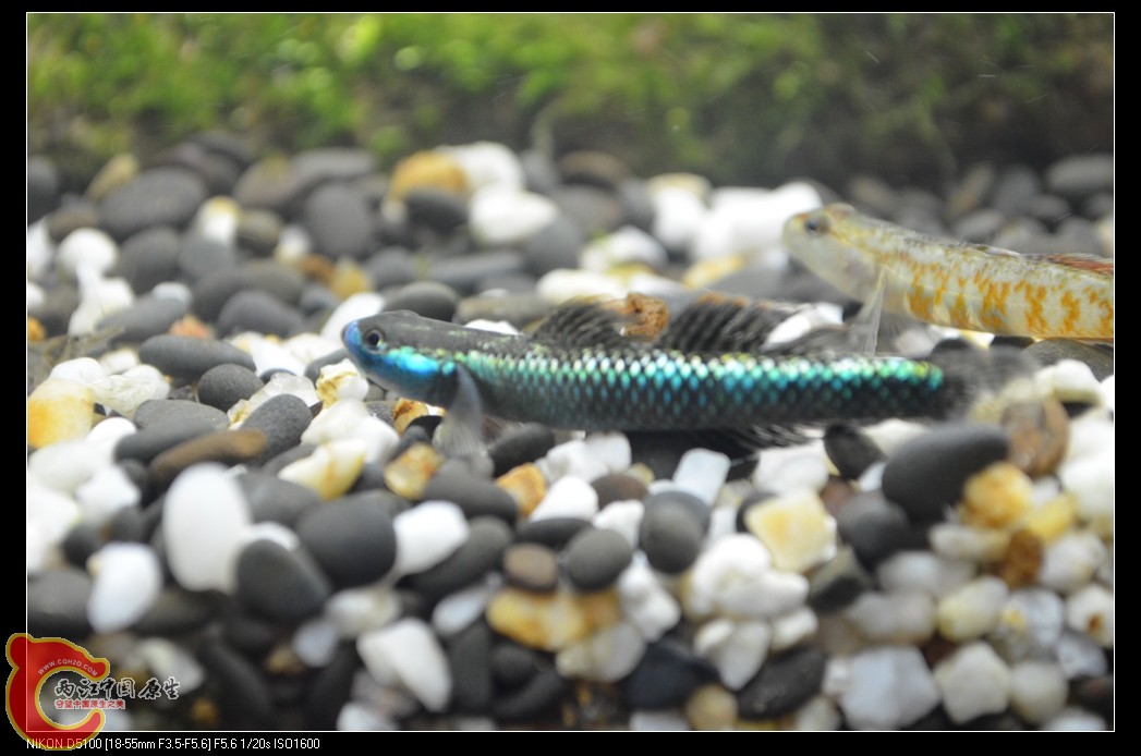 DSC_0051_nEO_IMG.jpg