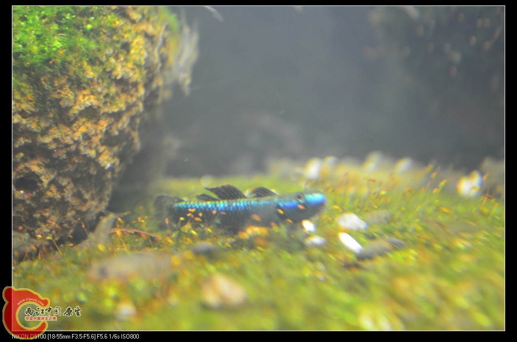 DSC_0058_nEO_IMG.jpg