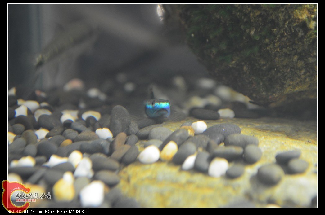 DSC_0056_nEO_IMG.jpg