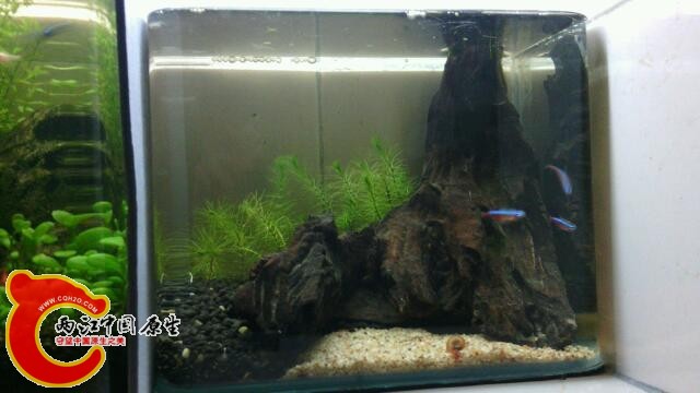 IMG_20131107_224916.jpg
