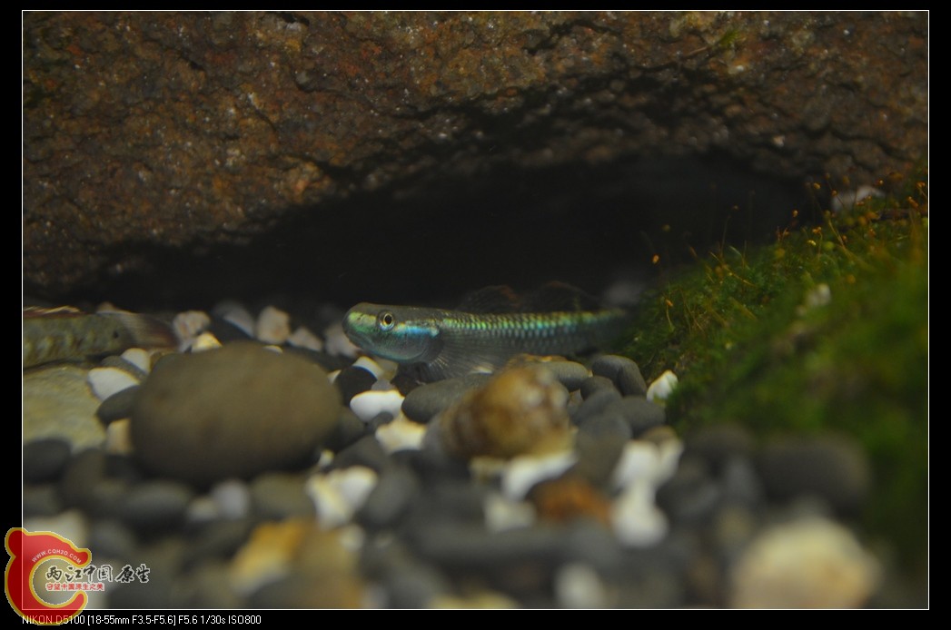 DSC_0065_nEO_IMG.jpg