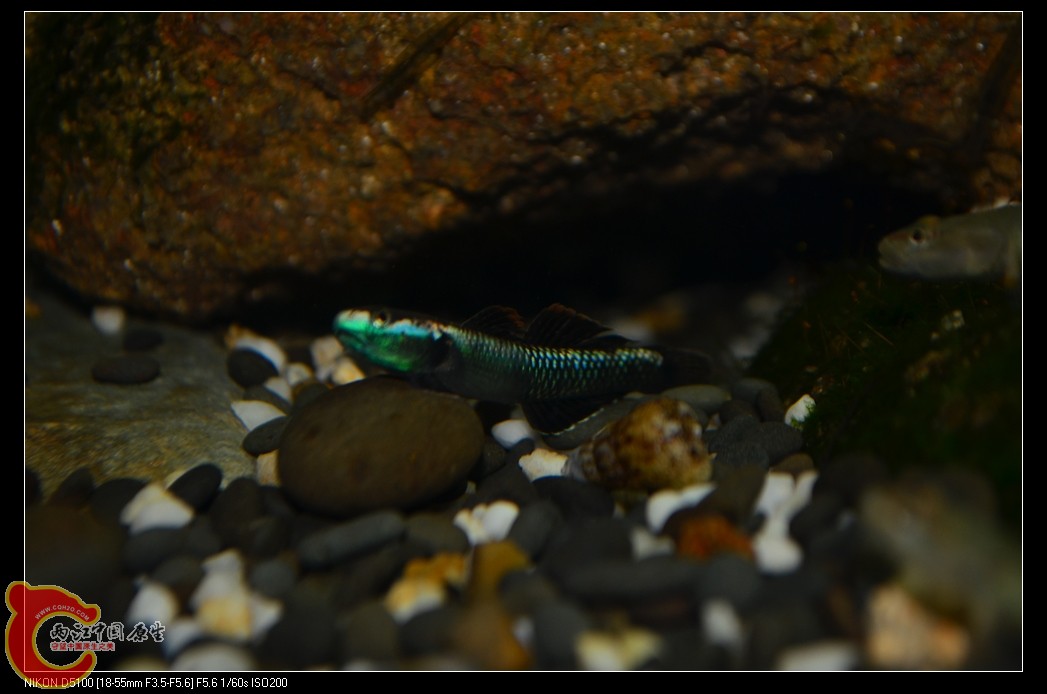 DSC_0076_nEO_IMG.jpg