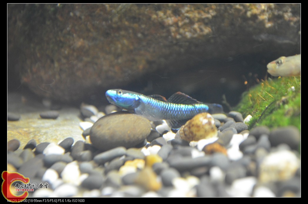 DSC_0079_nEO_IMG.jpg