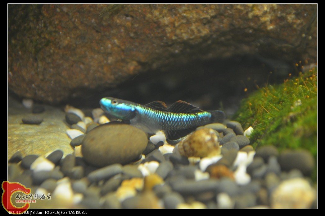 DSC_0080_nEO_IMG.jpg