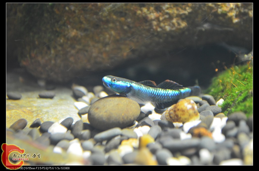 DSC_0083_nEO_IMG.jpg
