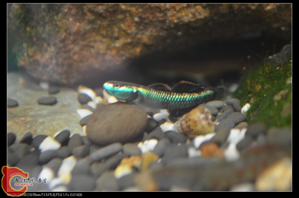 DSC_0094_nEO_IMG.jpg