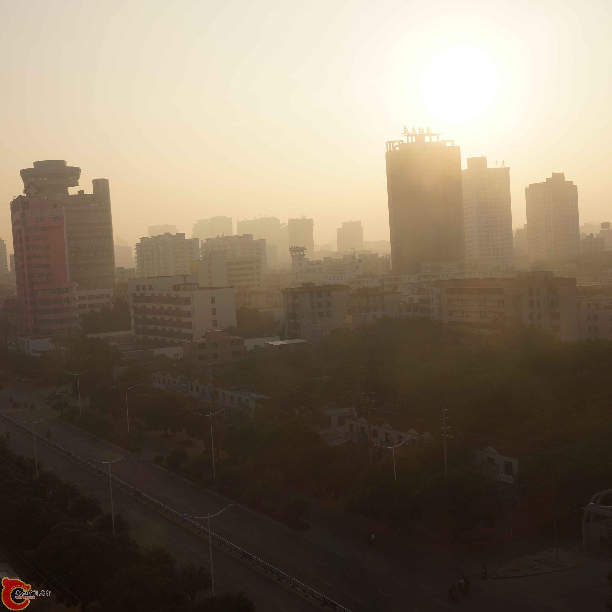 DSC01135.jpg