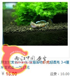 15块一对