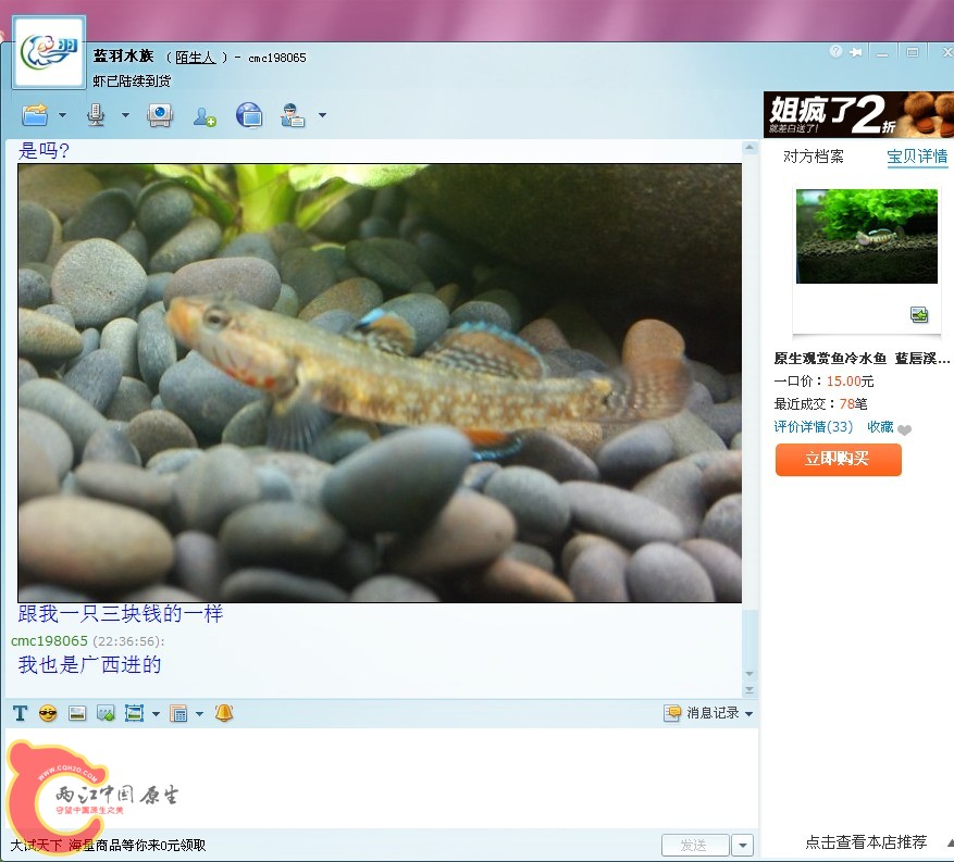 蓝羽7.jpg