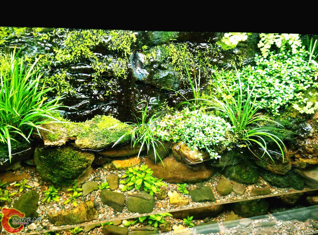 IMG20131116154625606_副本.jpg