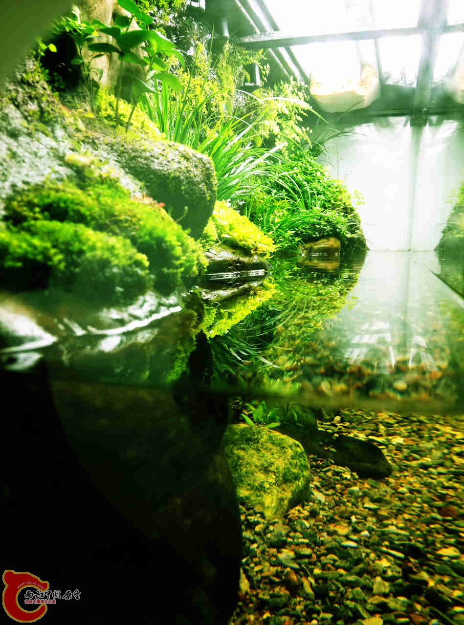 IMG20131116154919823_副本.jpg