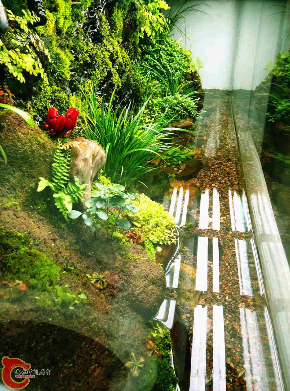 IMG20131116154948095_副本.jpg