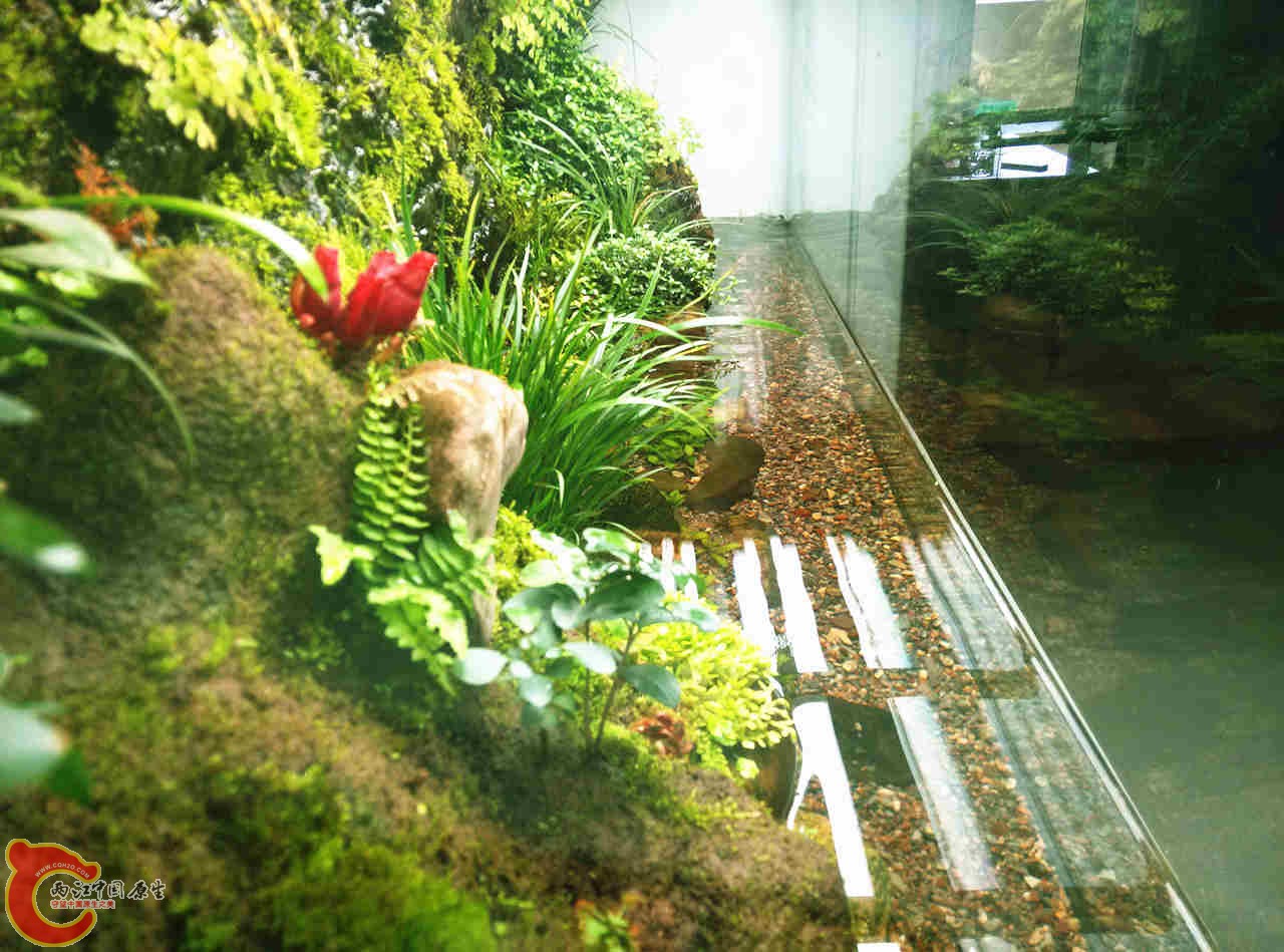 IMG20131116155109113_副本.jpg