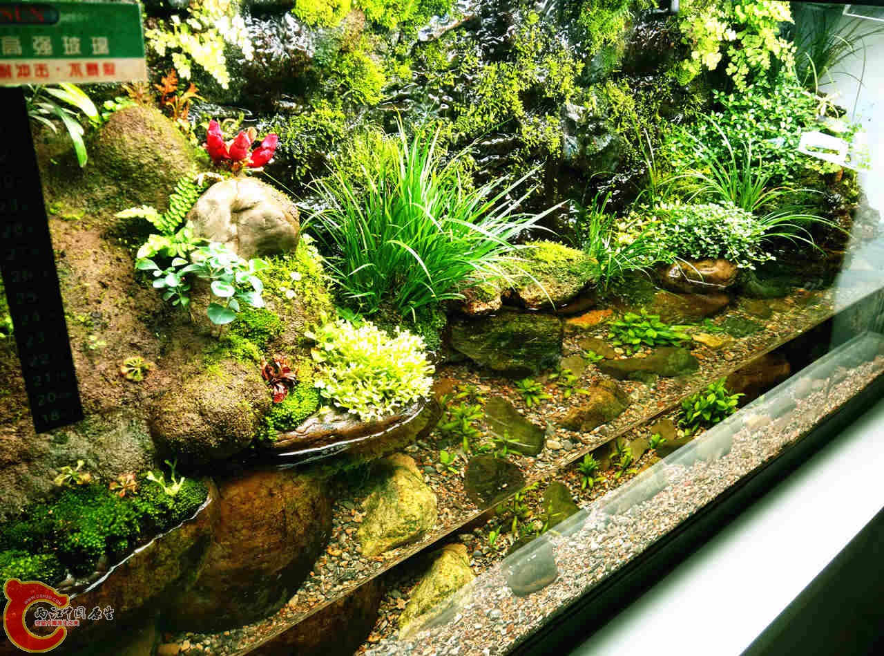 IMG20131116155203082_副本.jpg